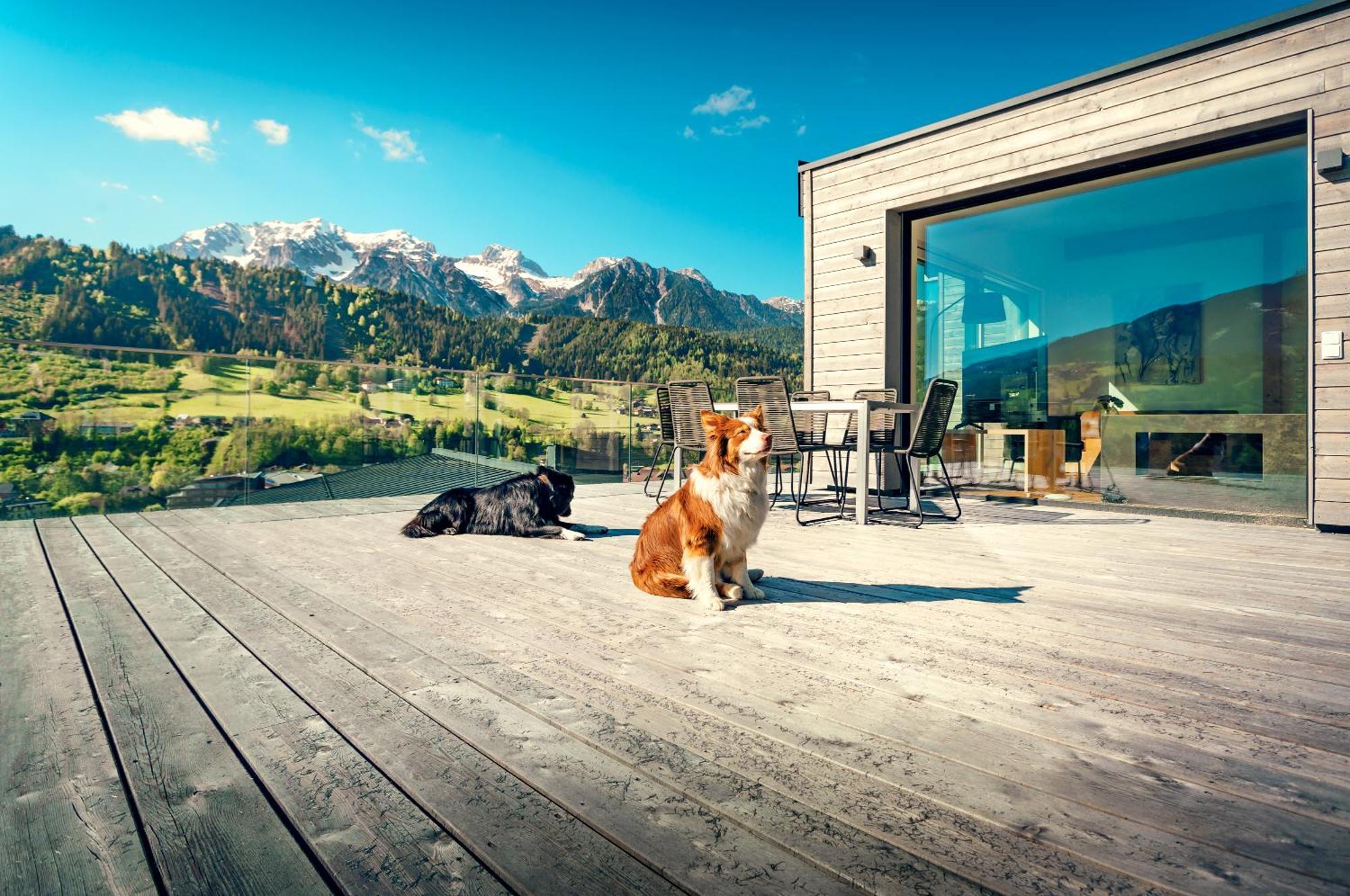 Chalets Coburg Schladming Room photo